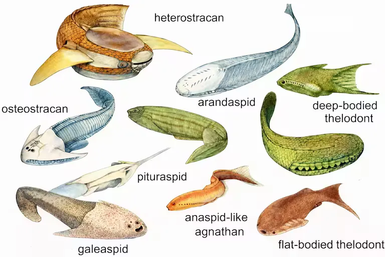 primeros peces
